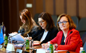 BiH pred novim izazovima: Delegacija Europskog parlamenta razgovarala s domaćim zvaničnicima