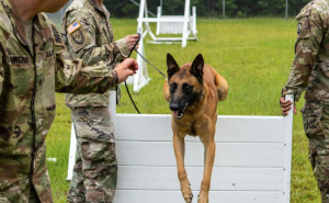 Geni Kapetana Amerike i tehnologija Iron Mana: Američka vojska stvara "super-pse"