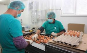  / Denis Zvizdić: Podržat ćemo izvoz jaja i pilećeg mesa u EU kada dođe vrijeme za to, FOTO: Anadolu Agency