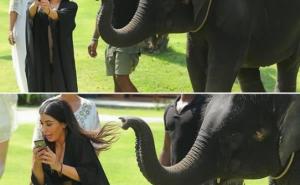  / Selfiji koji su otišli u potpuno pogrešnom pravcu, FOTO: Shock.buzz