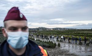 / Pred zatvaranje mađarsko-hrvatske granice: Izbjeglice u Mađarsku ulaze kod sela Zakany, FOTO: AA