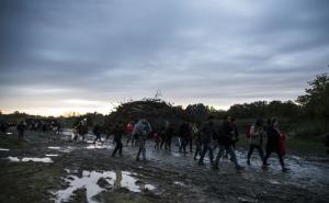  / Pred zatvaranje mađarsko-hrvatske granice: Izbjeglice u Mađarsku ulaze kod sela Zakany, FOTO: AA