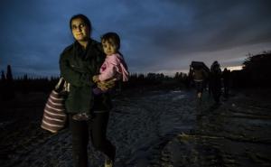  / Pred zatvaranje mađarsko-hrvatske granice: Izbjeglice u Mađarsku ulaze kod sela Zakany, FOTO: AA