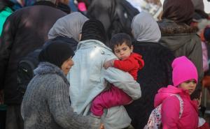  / Slovenija: Izbjeglice i dalje pristižu preko polja, za manje od sedam dana stiglo ih 50 hiljada, FOTO: AA