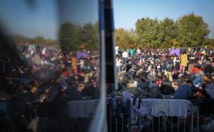  / Slovenija: Izbjeglice i dalje pristižu preko polja, za manje od sedam dana stiglo ih 50 hiljada, FOTO: AA