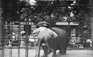  / Razglednice New Yorka, FOTO: Daily Mail