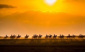  / Sjajne fotografije iz zraka u zoru: Očaravajući prizori magle iznad Kineskog zida, FOTO: Daily Mail