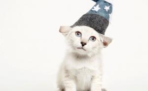  / Sredile su se i 'našminkale' samo za vas: Sviđaju li vam se?, FOTO: Bored Panda