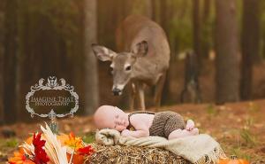  / Dirljiv susret: Divlji jelen usred fotografiranja jednomjesečne bebe, FOTO: Bored Panda