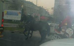  / Konj i kočinje usred sarajevske gužve, FOTO: Čitatelj/Radiosarajevo.ba