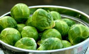 Foto: Screenshot / Prokulice