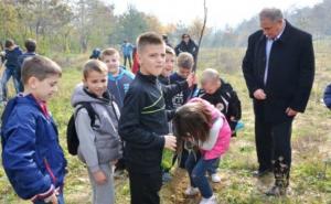  / Akcija pošumljavanja u zoni klizišta na području Općine Novo Sarajevo, FOTO: Novosarajevo.ba