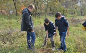  / Akcija pošumljavanja u zoni klizišta na području Općine Novo Sarajevo, FOTO: Novosarajevo.ba