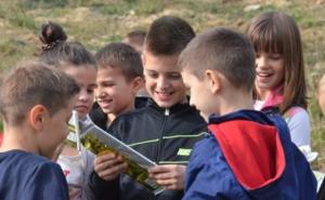  / Akcija pošumljavanja u zoni klizišta na području Općine Novo Sarajevo, FOTO: Novosarajevo.ba