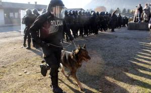  / Foto: Armin DURGUT/Patria