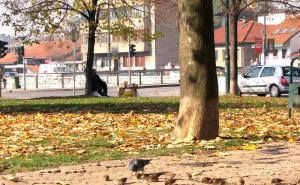  / Raskoš jeseni u starogradskoj općini, FOTO: Starigrad.ba