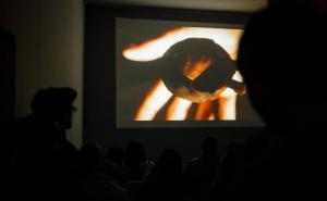  / Foto: Pravo Ljudski Film Festival, Vanja Čerimagić