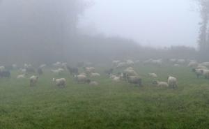  / Kad priroda odlazi na počinak: Jesenje magle Srednje Bosne, FOTO: AA