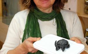  / Fenomeni: Dvoglava kornjača iz Canakkalea živjela samo 30 dana, FOTO: AA