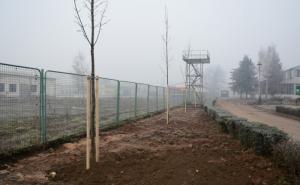  / Nova stabla i zelenilo u centru 'Safet Zajko', FOTO: Općinanovigradsarajevo.ba