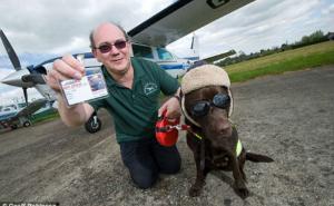  / Labrador koji je po 'zanimanju' pilot, FOTO: Geoff Robinson
