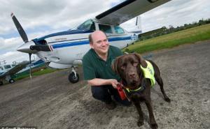  / Labrador koji je po 'zanimanju' pilot, FOTO: Geoff Robinson