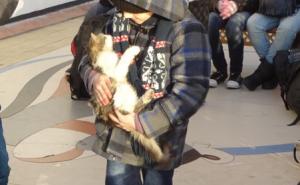  / Turska: S pokvarene brodice spašeno 25 Sirijaca, FOTO: AA