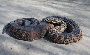  / Godinama skupljao komade metala: Od njih je napravio pravo remek-djelo, FOTO: Bored Panda