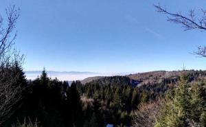  / Sarajevo: Dok se grad 'guši' u magli i smogu, na Čavljaku je pravo proljeće, FOTO: Čitatelj/Radiosarajevo.ba