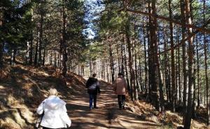  / Sarajevo: Dok se grad 'guši' u magli i smogu, na Čavljaku je pravo proljeće, FOTO: Čitatelj/Radiosarajevo.ba