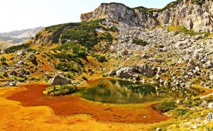  / Sa jedne od tura po BiH udruženja Stopa; Foto: Andrea Ćurea