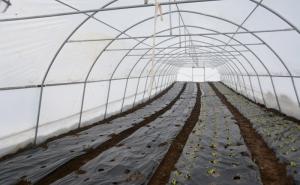  / Pet novogradskih porodica dobilo plastenike s pratećom opremom, FOTO: Novigradsarajevo.ba