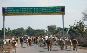  / Chhattisgarh, Indija