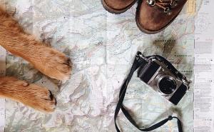  / On je vaš najbolji prijatelj: Pas kao odličan saveznik u putovanju, FOTO: Bored Panda