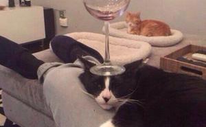  / FOTO: Thechive.com