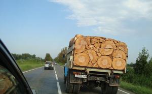  / FOTO: randomiousguy
