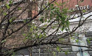  / FOTO: Nedim Sladić/Radiosarajevo.ba