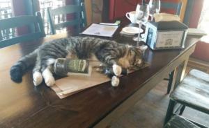  / FOTO: Thechive.com