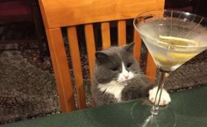  / FOTO: Thechive.com