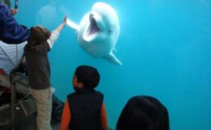  / FOTO: twistedsifter