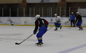  / FOTO: Hokejaški savez BiH