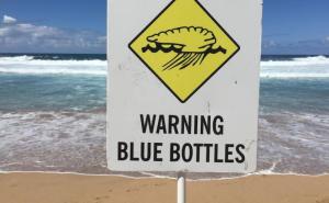  / Upozorenje na plaži u Novom Južnom Velsu da su u moru meduze