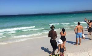  / Hyams Beach, ljudi čekaju da ode ajkula da se mogu vratiti u more