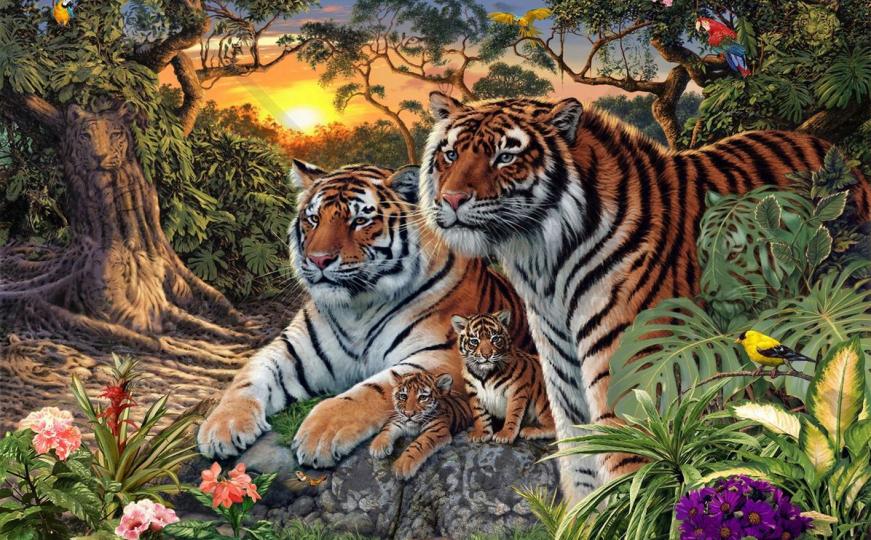 Koliko je tigrova na fotografiji?