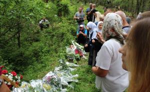 Anadolija / Rogatica