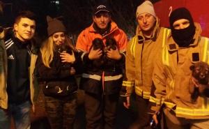  / Vratnički vatrogasci spasili kučiće iz zaleđene Miljacke