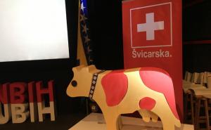 Radiosarajevo.ba / Simbol savremene Švicarske: kravica Happy Lilly