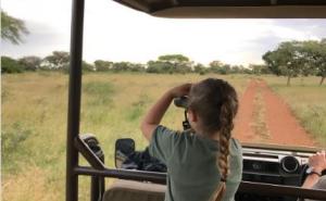  / Beckhamovi na safariju; Instagram