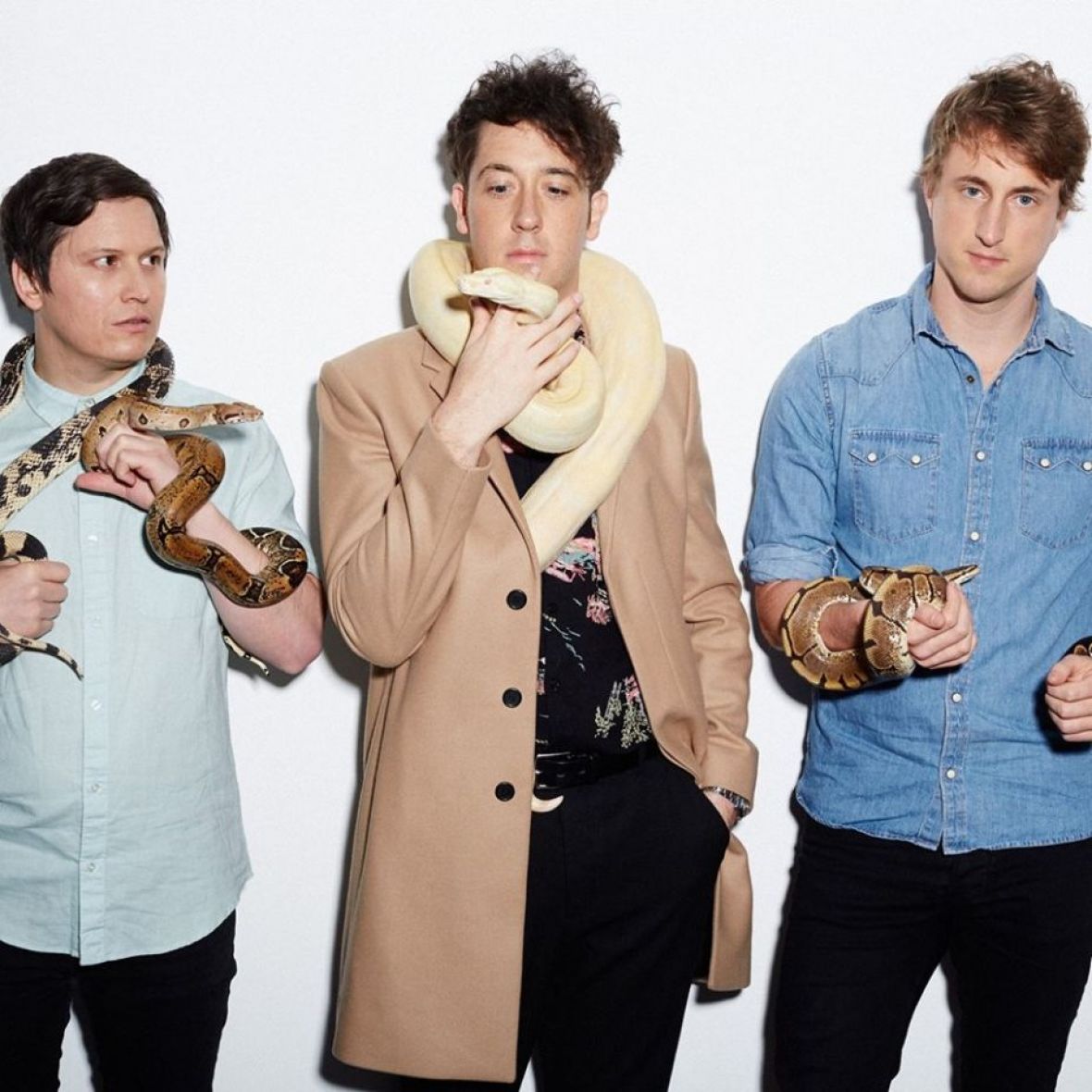 0/The Wombats