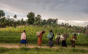 0 / Kongo: Očajni stanovnici bježe iz zemlje